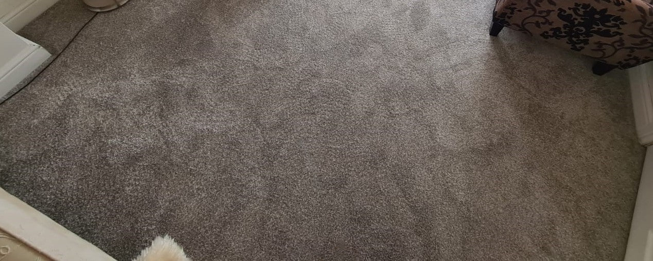 Eiger - Stone - Carpet - 3.5x4