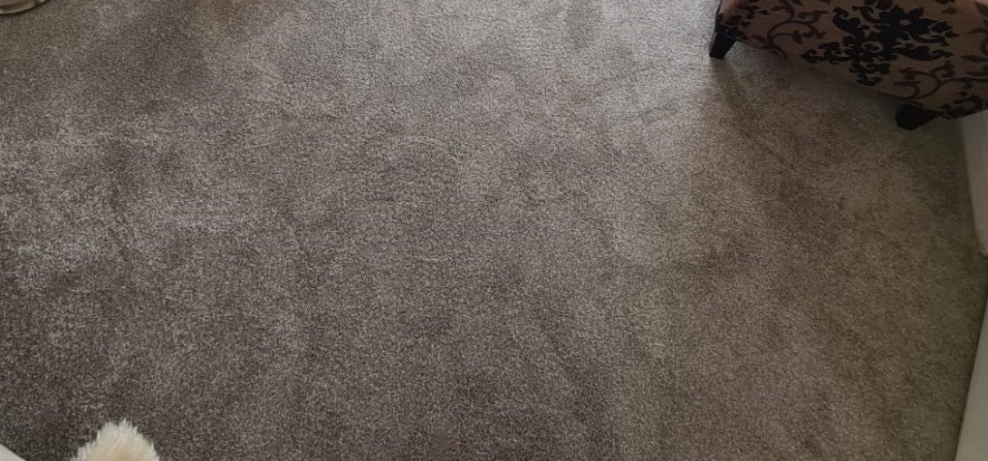 Eiger - Stone - Carpet