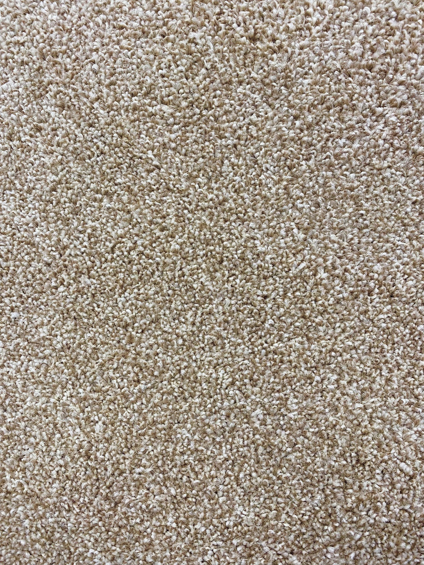 Eiger - Beige - Carpet - 2.5x4