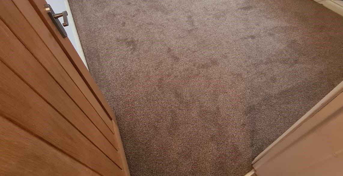 Eiger - Malt - Carpet