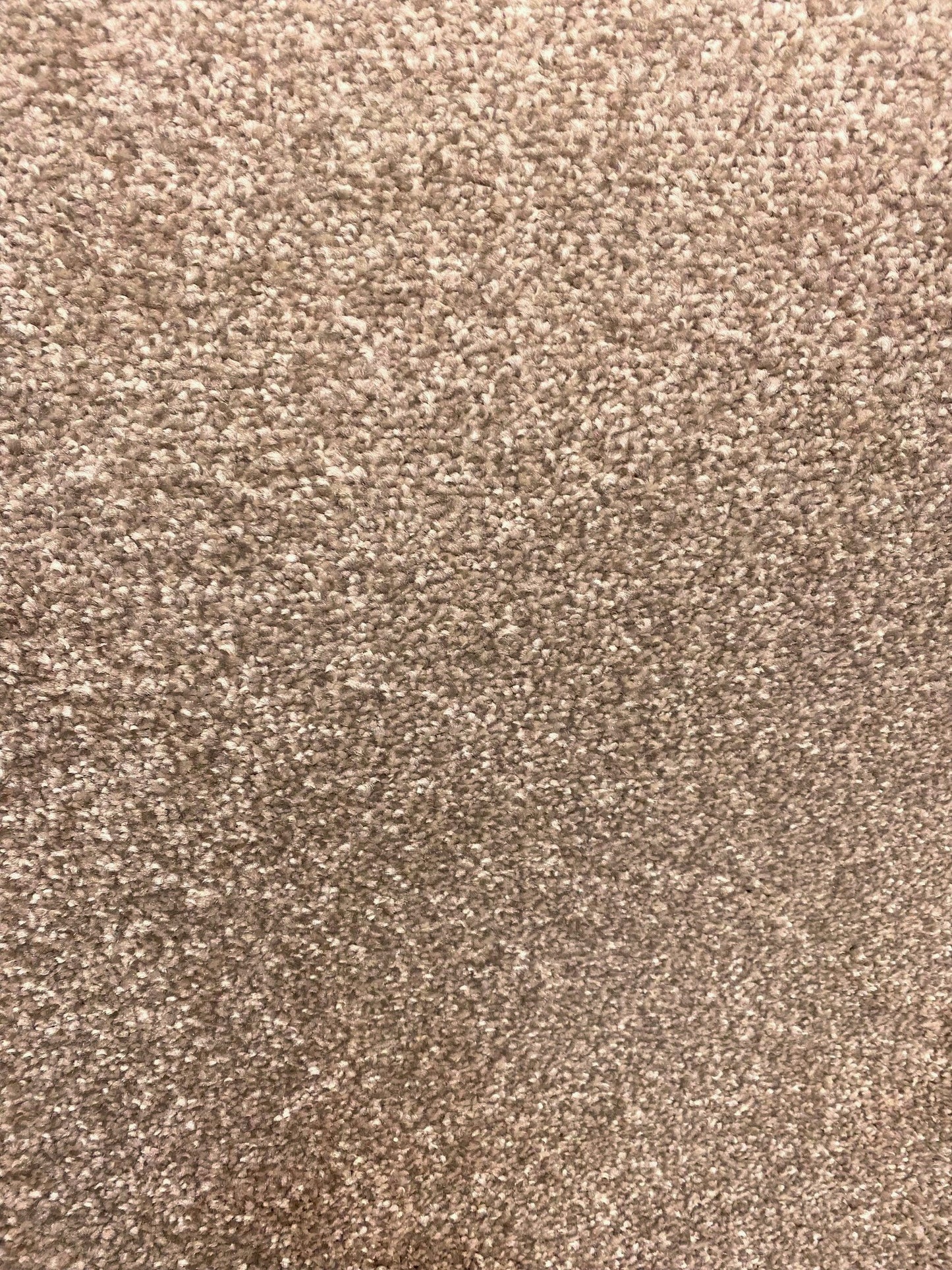 Kili - Mink - Carpet 4.5x4