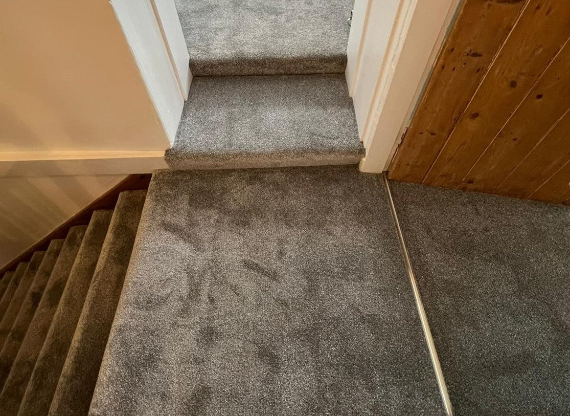 Star - Pebble Beach - Carpet - 3x4