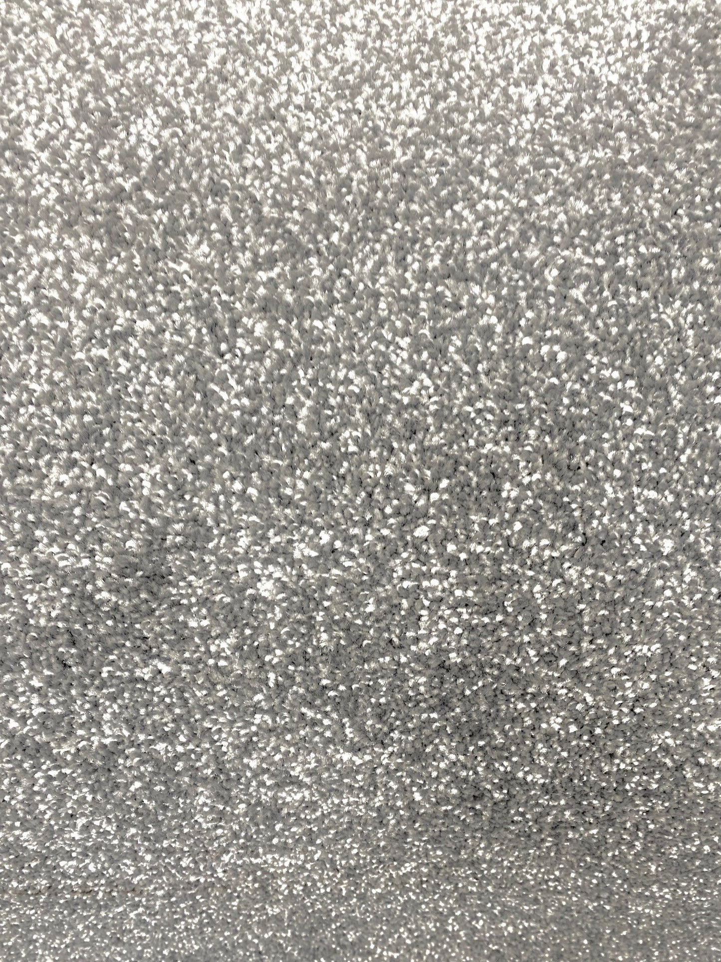 Eiger - Silver - Carpet - 3x4