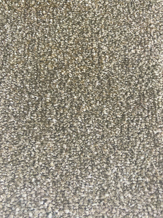 Star - Cafe Au Lait - Carpet - 5x4