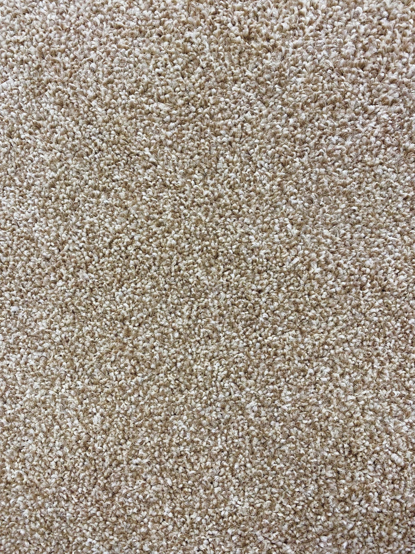 Eiger - Beige - Carpet - 4x4