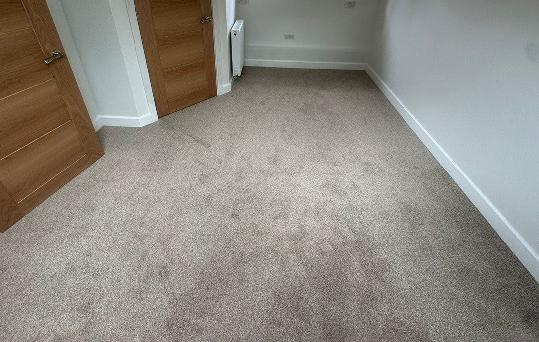 Eiger - Beige - Carpet - 4x4